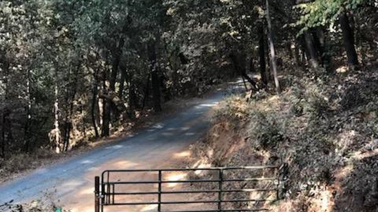 Bloomer Hill Rd, Berry Creek, CA 95916