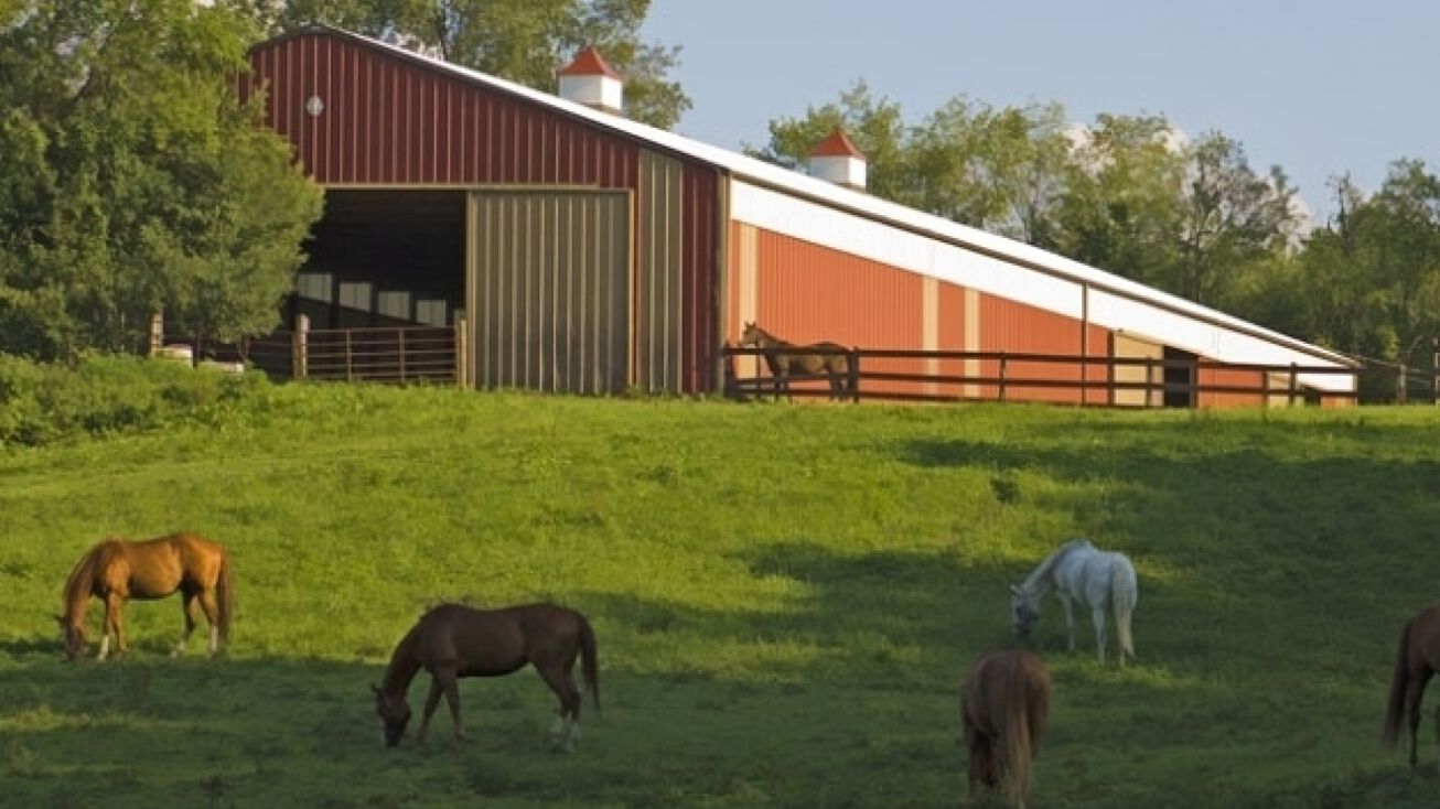 1316 Pit Rd, Java Center, NY 14082