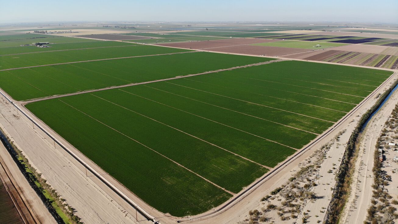 Ferguson Rd, Holtville, CA 92250