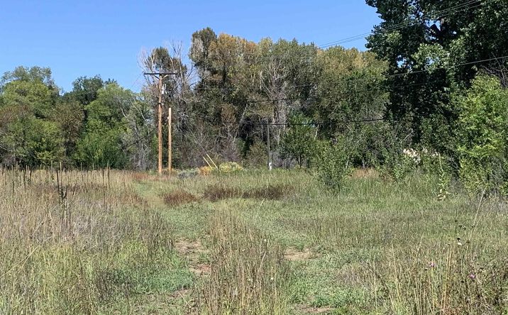 Pictures of Land property located at 00 Paseo del Pueblo Norte, Taos, NM 87571 for sales - image #1