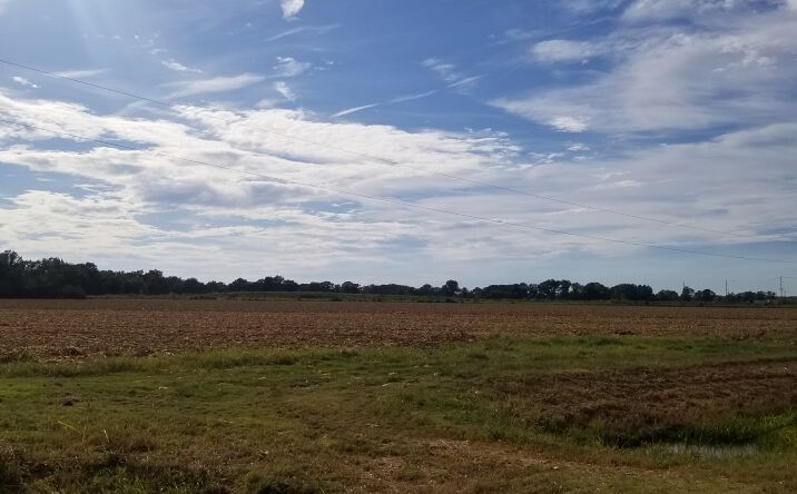 Pictures of Land property located at 5459 E Nettleton Ave, Jonesboro, AR 72404 for sales - image #1