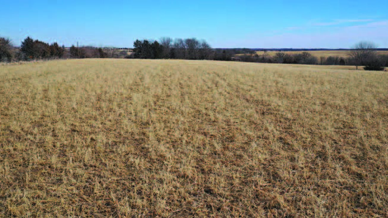Truro Pavement/Pacific Street, Osceola, IA 50213 Land for Sale