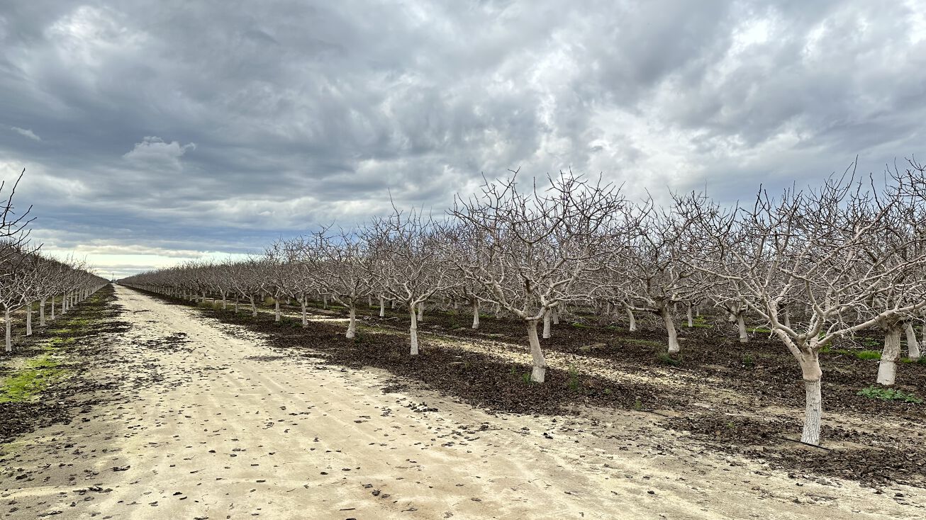 4131 Rd 160, Earlimart, CA 93219 Land for Sale 138.92 Acre Delano