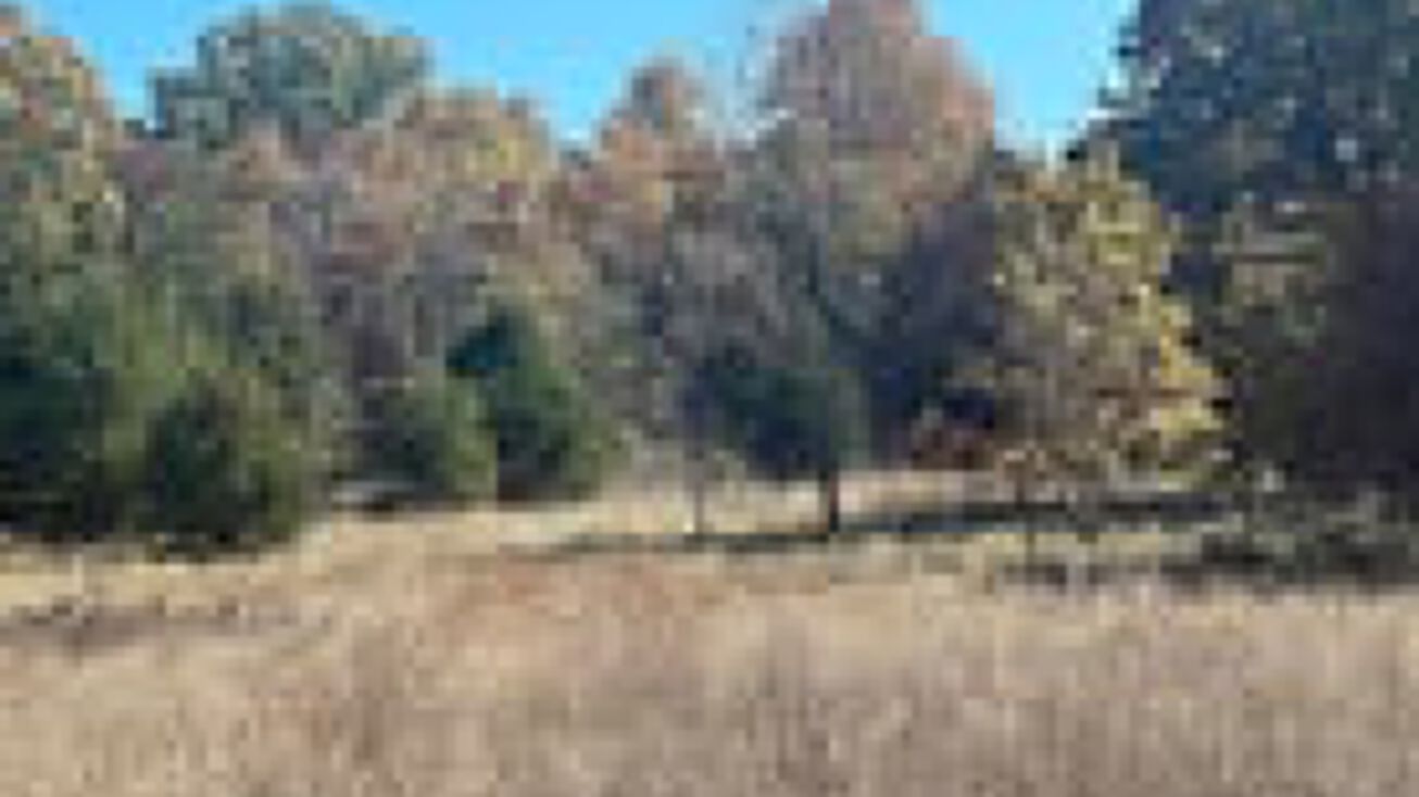 5046 S 202nd Rd, Halfway, MO 65663 Land for Sale 5046 South 202nd