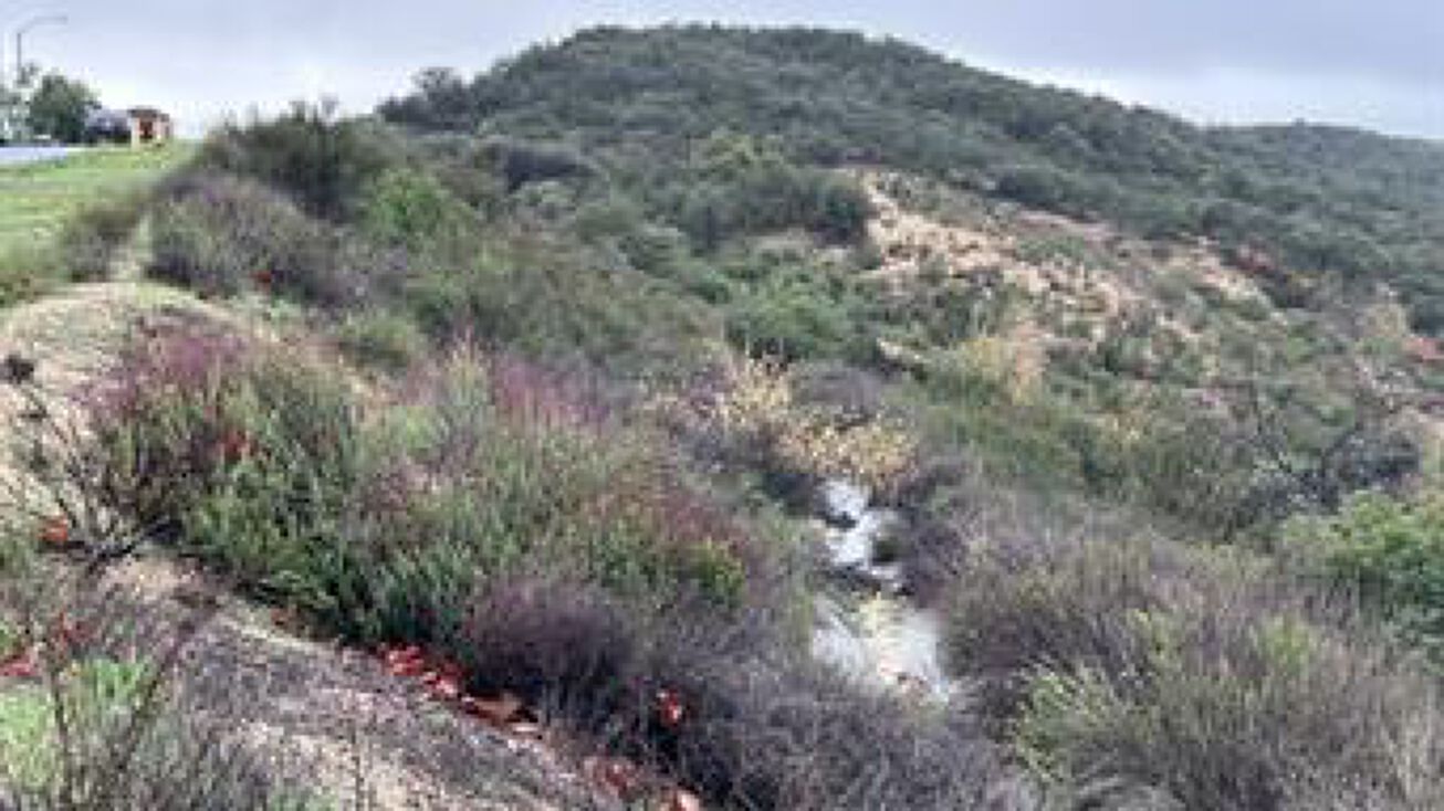 35501 David Ln, Wildomar, CA 92595 Land for Sale 35501 David Ln