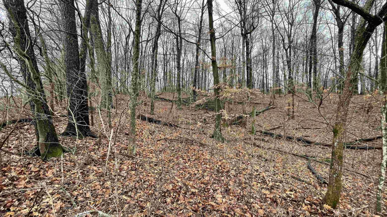 488 Clark Smith Rd, Mitchell, IN 47446 Land for Sale 488 Clark Smith Rd