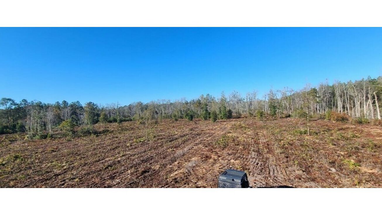 34.9 Ac Quarterman Rd, Hahira, GA 31632
