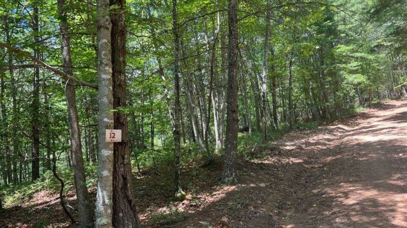 Lot 32 Waiteville Rd, Waiteville, WV 24984