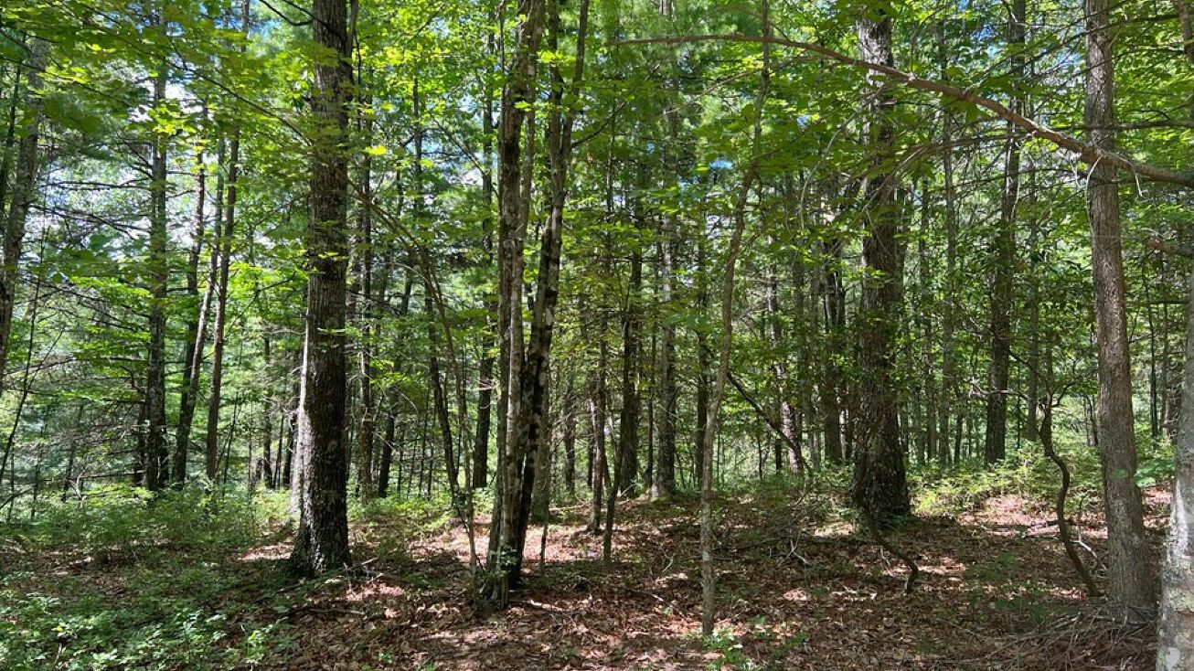 Lot 37 Waiteville Rd, Waiteville, WV 24984