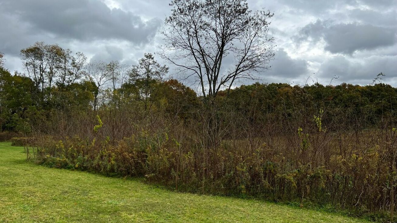 Albany Summer Lane, Lewisburg, WV 24901 Land for Sale Albany Summer