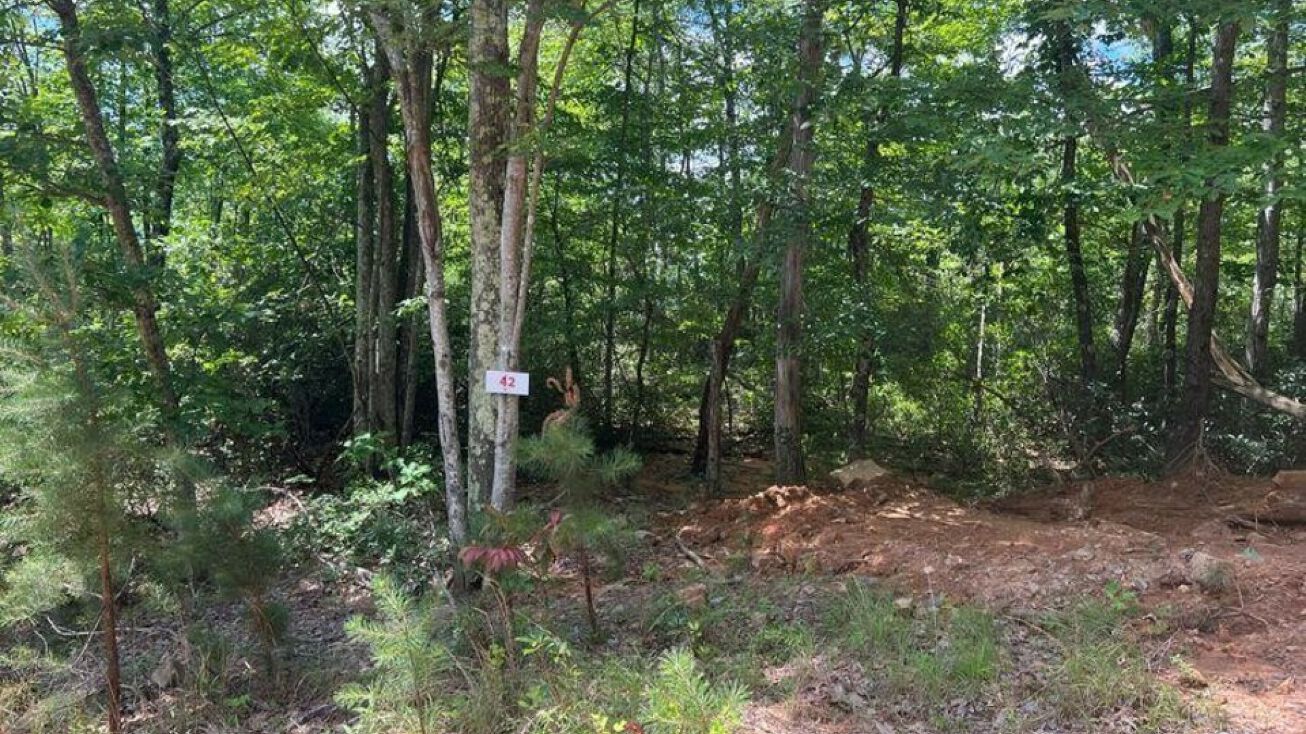 Lot 42 Waiteville Rd, Waiteville, WV 24984