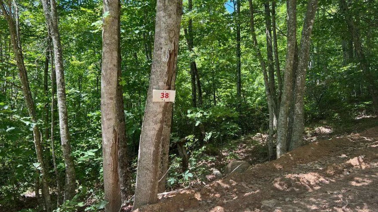 Lot 38 Waiteville Rd, Waiteville, WV 24984