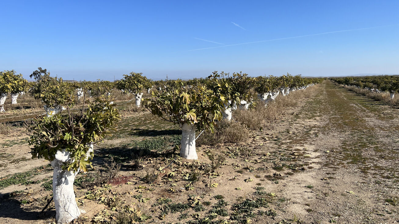 9.5± miles East of Chowchilla, Chowchilla, CA 93610