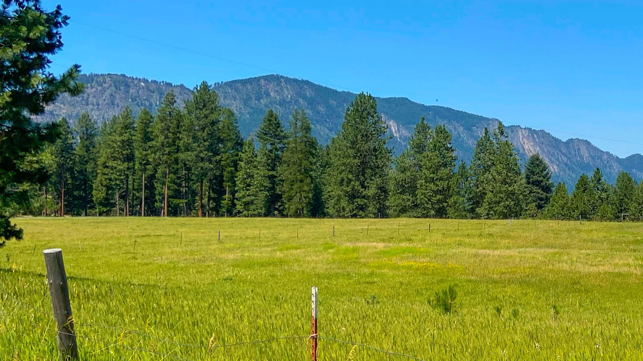 85 Cherry Creek Road, Thompson Falls, MT 59873