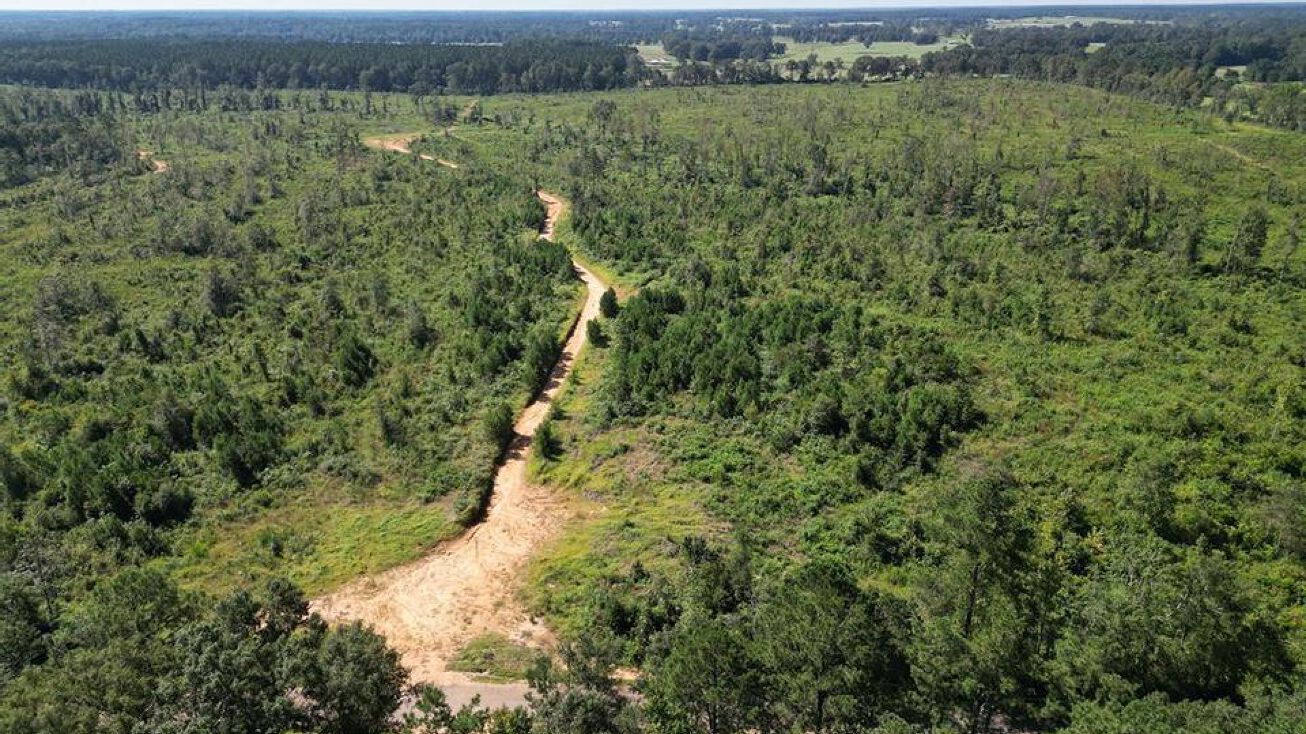 Tract 2 Blazo Road, Osyka, MS 39657