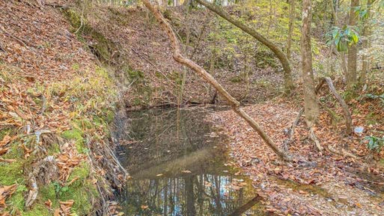 Union Church Rd, Union Church, MS 39668