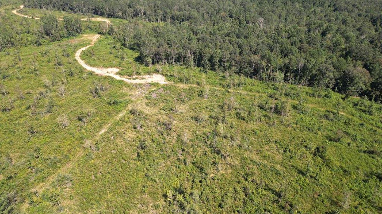 Tract 3 Blazo Road, Osyka, MS 39657