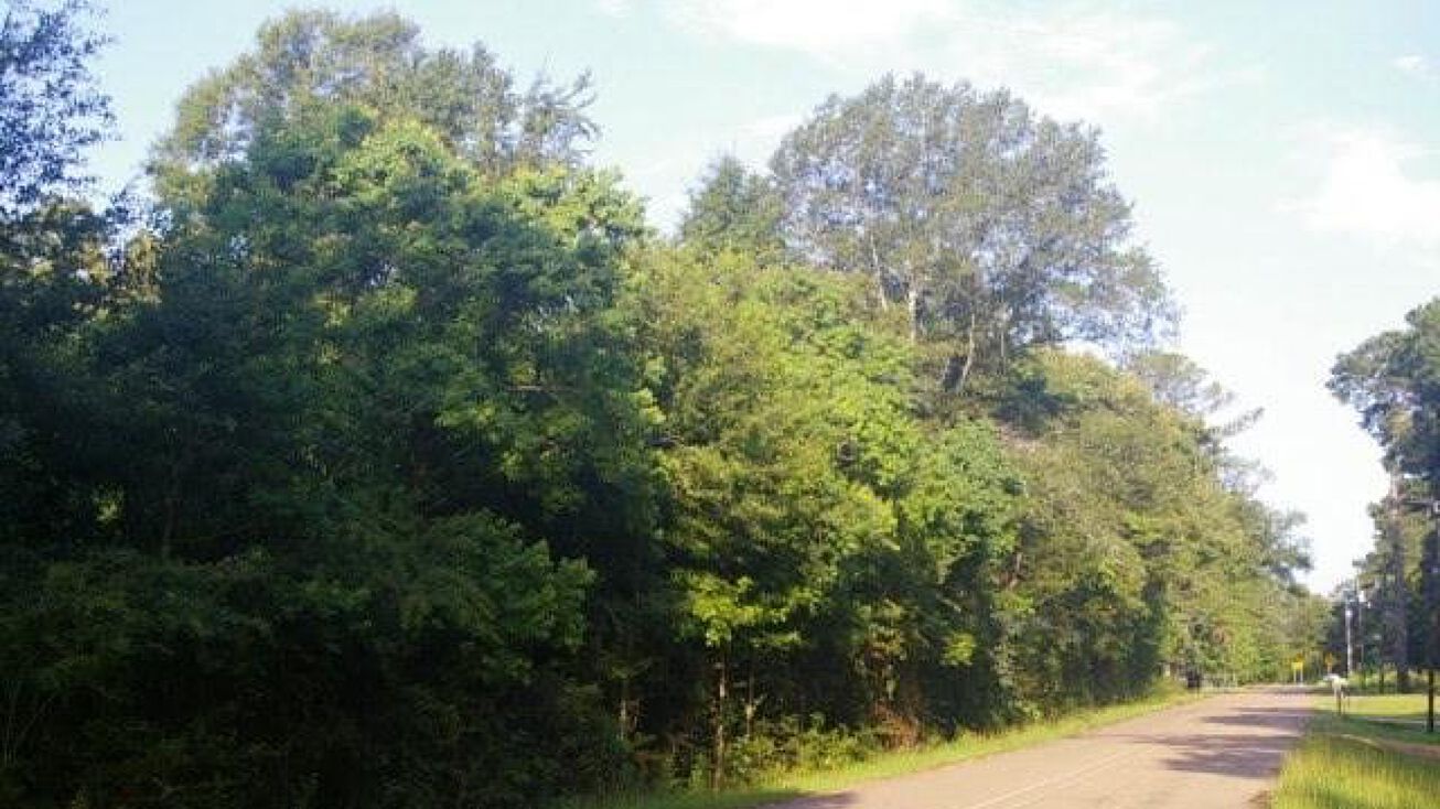 Wallace Dr, MS 39648 Land for Sale Wallace Dr