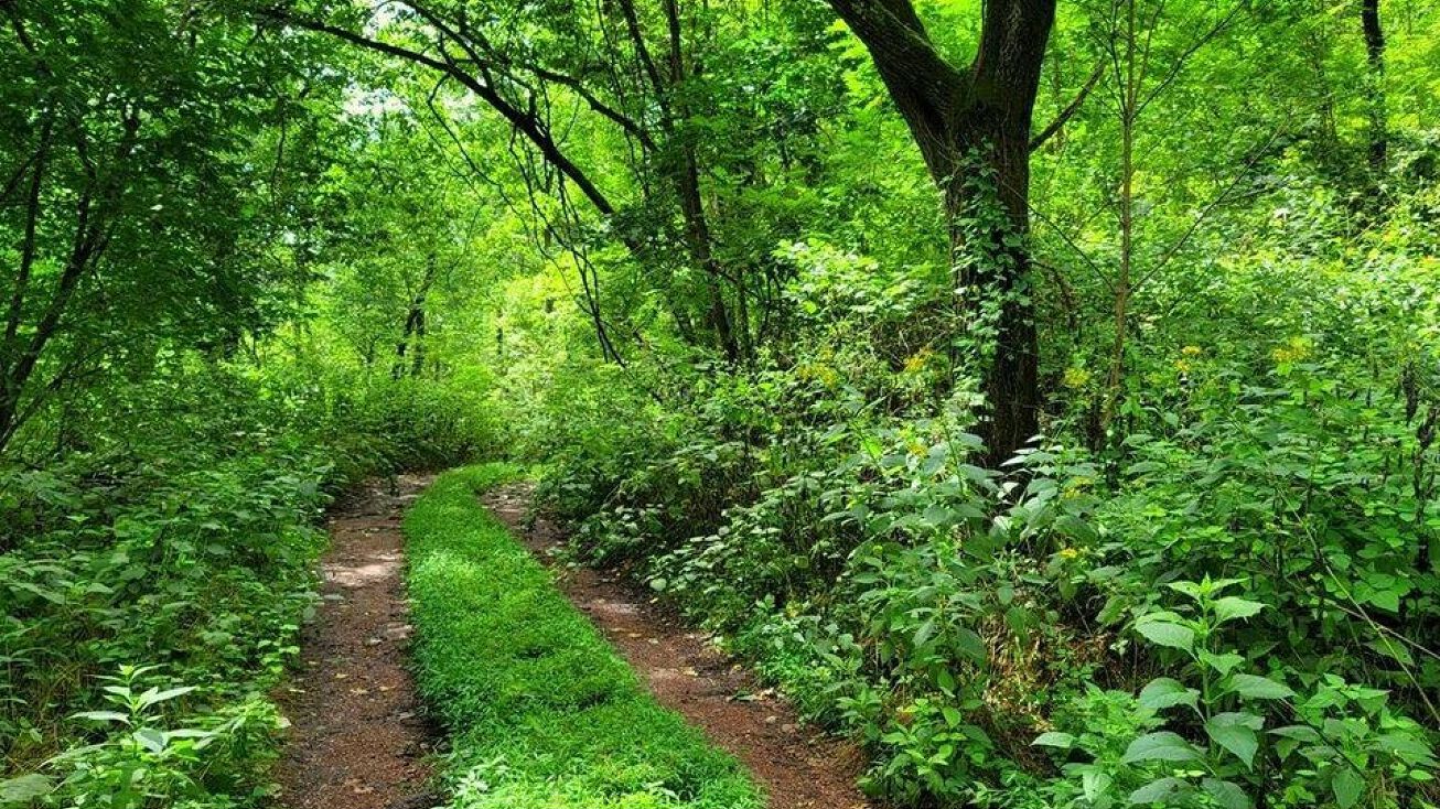 4843 Stanaford Prince, Prince, WV 25907