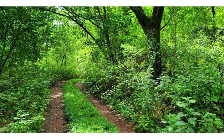 Pictures of Land property located at 4843 Stanaford Prince, Prince, WV 25907 for sales - image #1