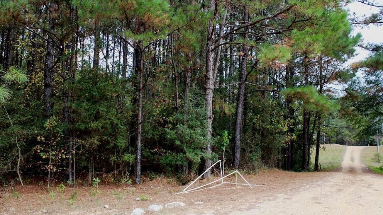 Ward Drive, Summit, MS 39666 Land for Sale Ward Drive