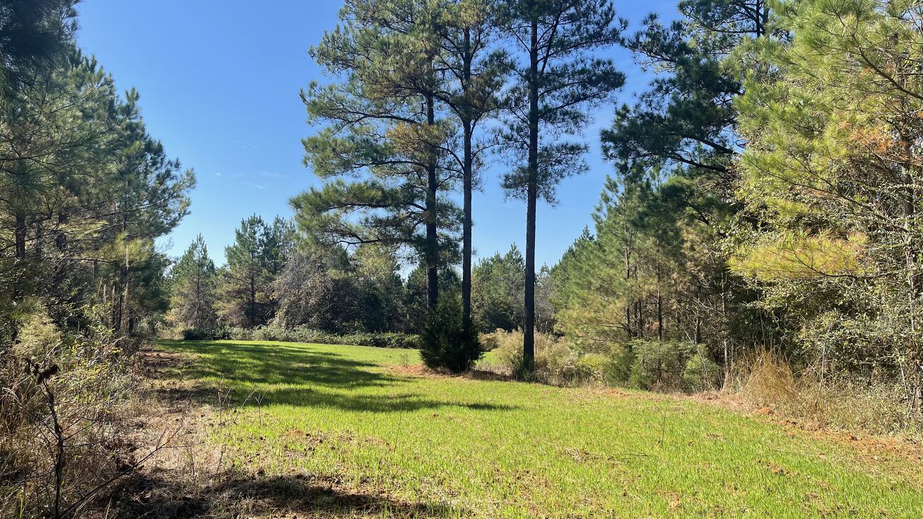 Hesterville Tract, Abbeville, MS 38601