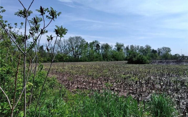 Willis Rd Ypsilanti MI 48197 Crexi