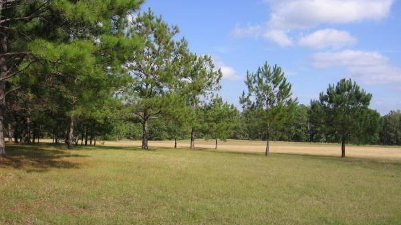 Vacant Savage Road, Township of Sumpter, MI 48111