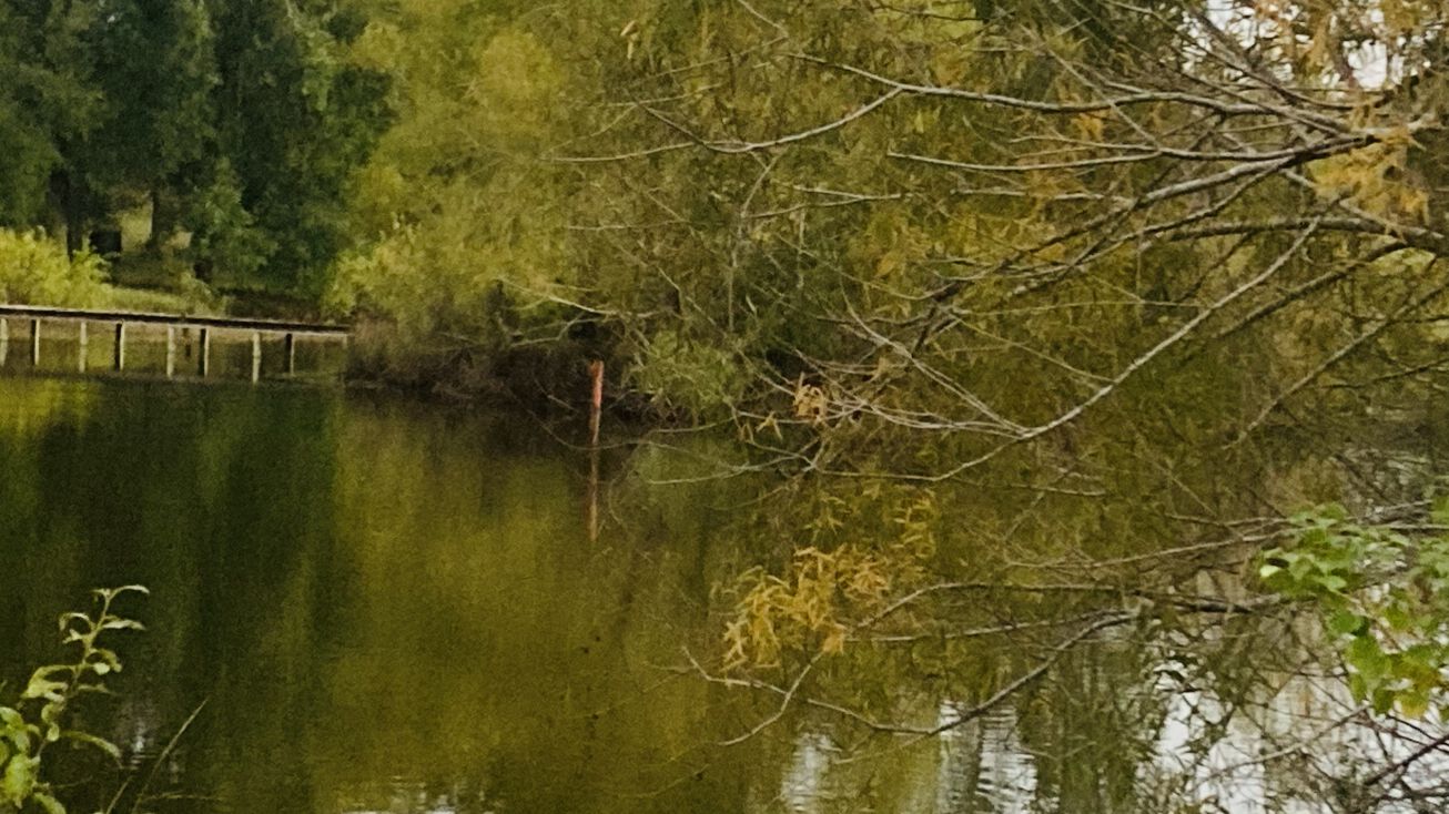 46238 FM 1774, Plantersville, TX 77363