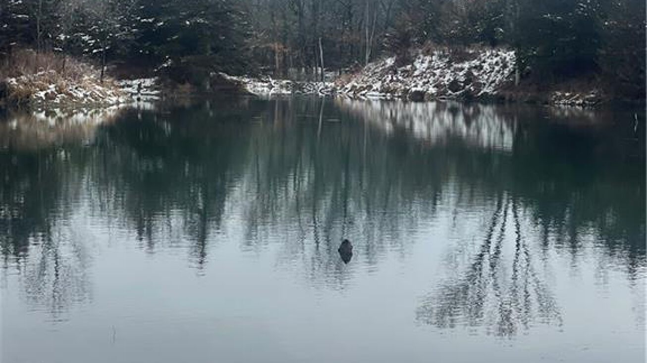 State Line Road Road, Hume, MO 64752 Land for Sale State Line Road Road