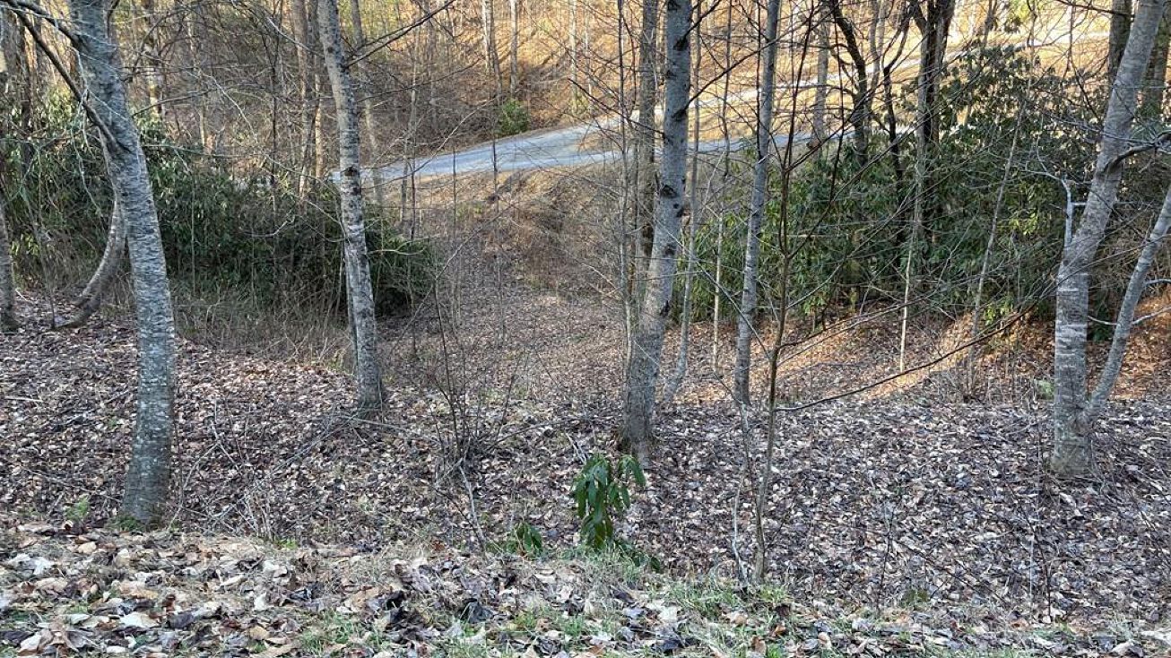 Lot 38 Brush Creek Mountain Rd Bryson City, NC, Bryson City, NC, NC