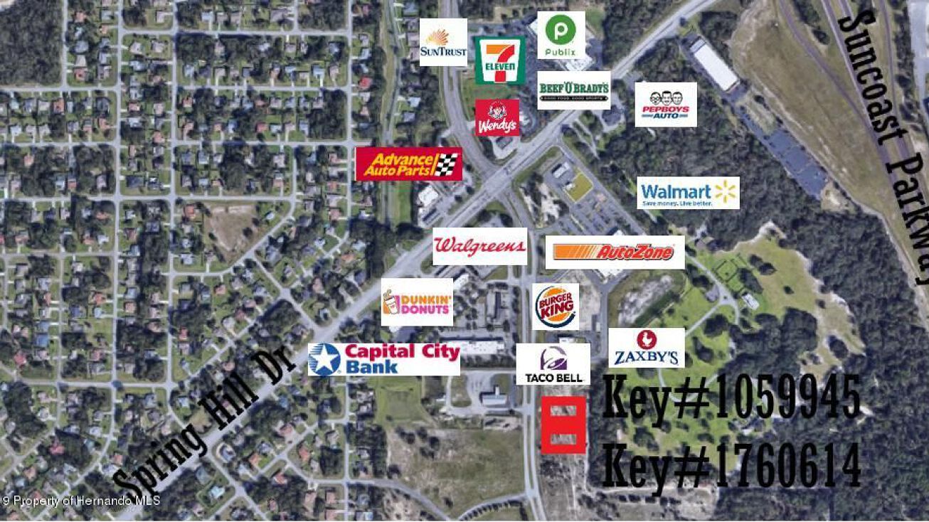 00 Anderson Snow Road, Spring Hill, FL 34609