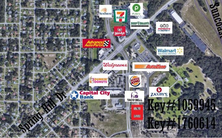 Pictures of Land property located at 00 Anderson Snow Road, Spring Hill, FL 34609 for sales - image #1