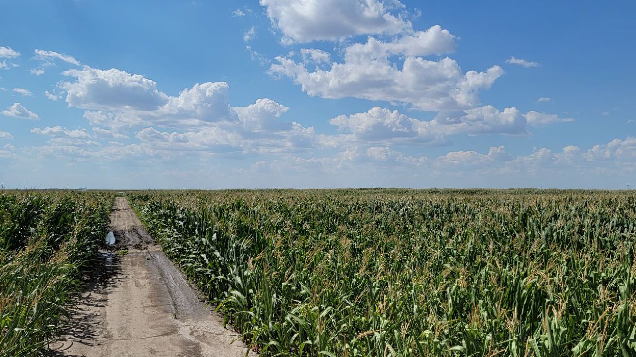 Co Rd 12, Julesberg, CO 80737 Land for Sale Southeast Sedgwick