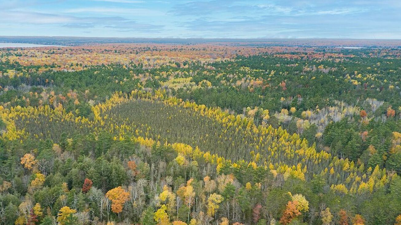 On Birchwood Dr, Saint Germain, WI 54558 Land for Sale On Birchwood Dr