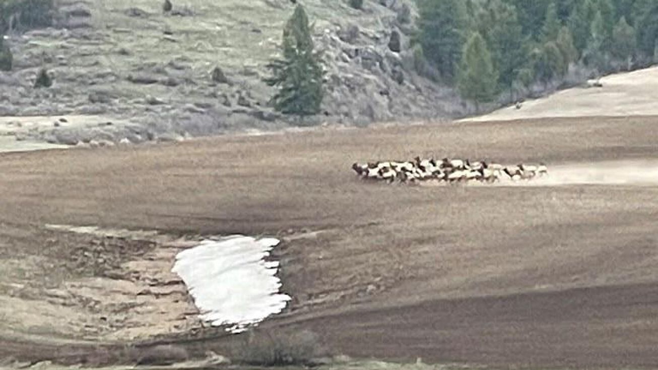 149 Acres Caribou County, Bancroft, ID 83217