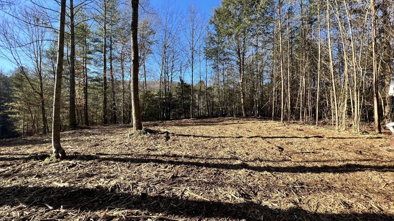 Cabin Creek Rd, Hays, NC 28635 Land for Sale 001 Cabin Creek Road
