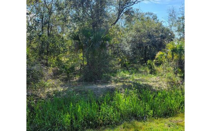 19780 NW 292nd Street, Okeechobee, FL 34972 - Land for Sale - 19780 NW ...