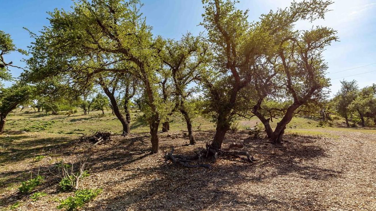 67 Tonkawa Trail, Fredericksburg, TX 78624