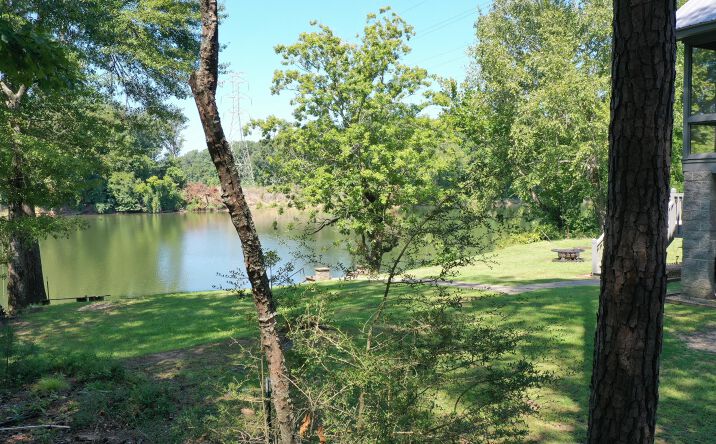 Pictures of Land property located at 1571 Judge Greene Place Rd, Greensboro, AL 36744 for sales - image #1