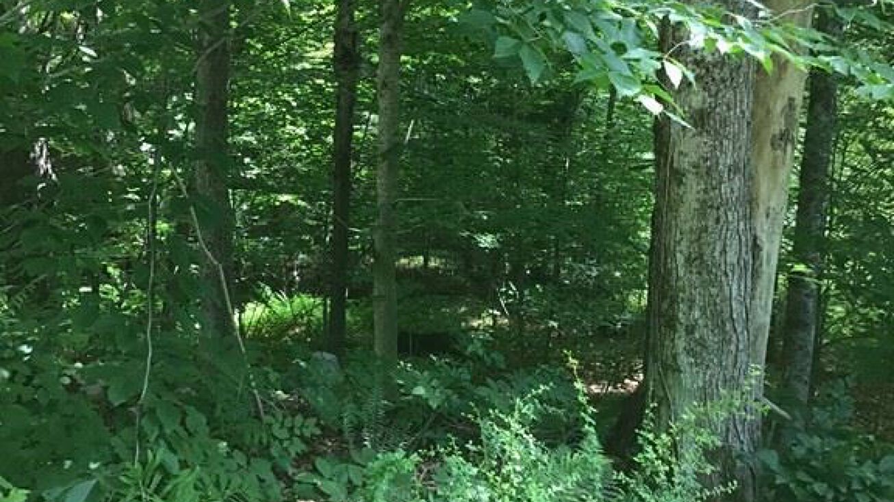 0 Bancroft Rd, Becket, MA 01223 Land for Sale 0 Bancroft Rd