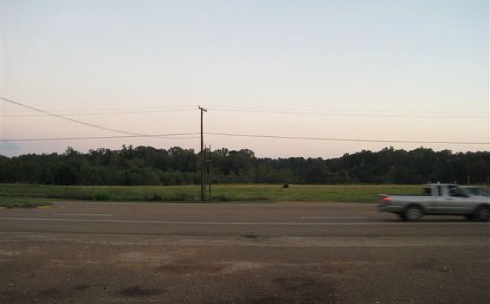 Pictures of Land property located at 000b Hwy 61 North, Natchez, MS 39120 for sales - image #1