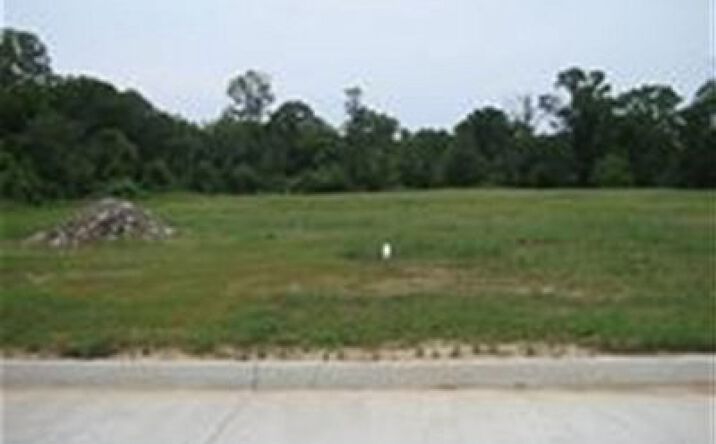 Pictures of Land property located at 18 Enterprise Drive, Natchez, MS 39120 for sales - image #1