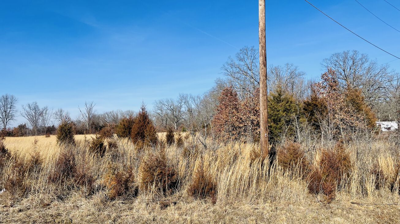 16555 Doolittle Outer Rd, Newburg, MO 65550