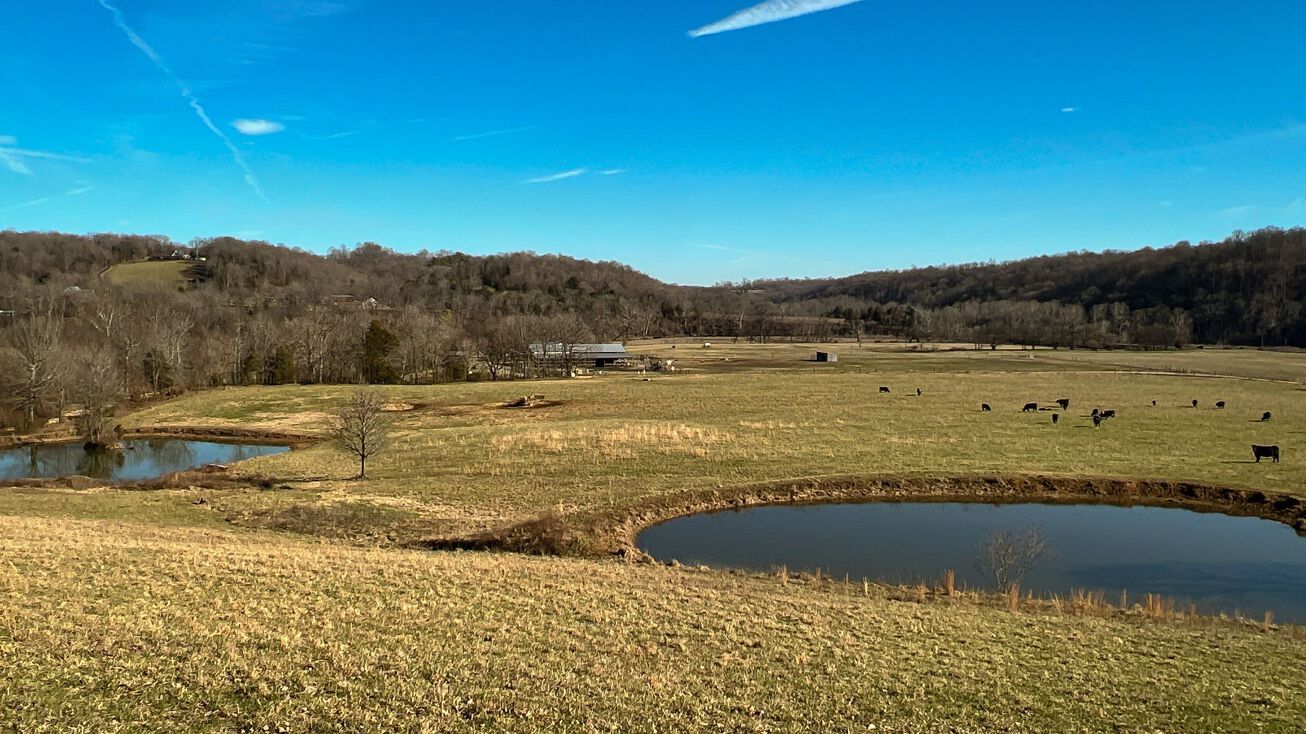 7925 Tom Patton Rd, Primm Springs, TN 38476 Land for Sale 7925 Tom Patton Rd