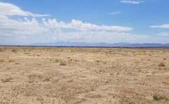 Pictures of Land property located at 65th Street W & Avenue G4, Lancaster, CA 93534 for sales - image #1