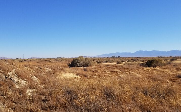 Pictures of Land property located at E Avenue G, Lancaster, CA 93535 for sales - image #1