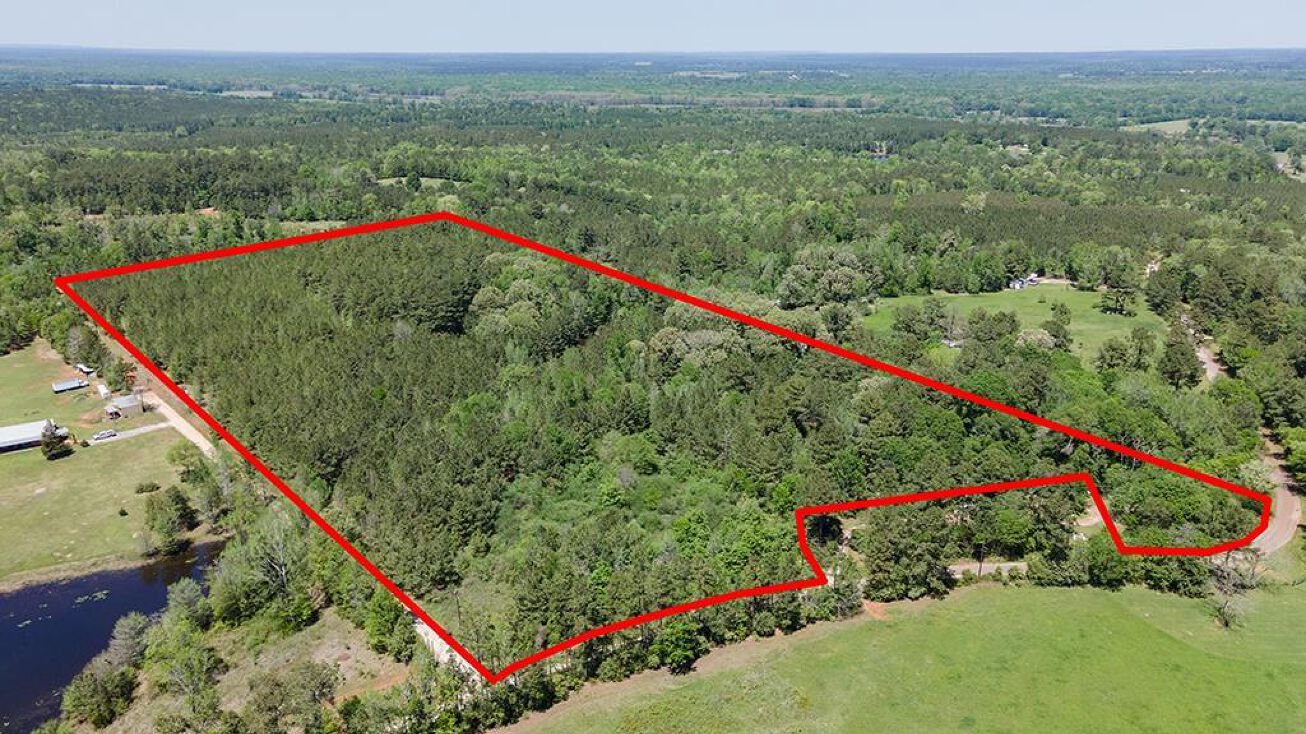 2079 Rifle Rd, Pollok, TX 75969 Land for Sale 2079 Rifle RD