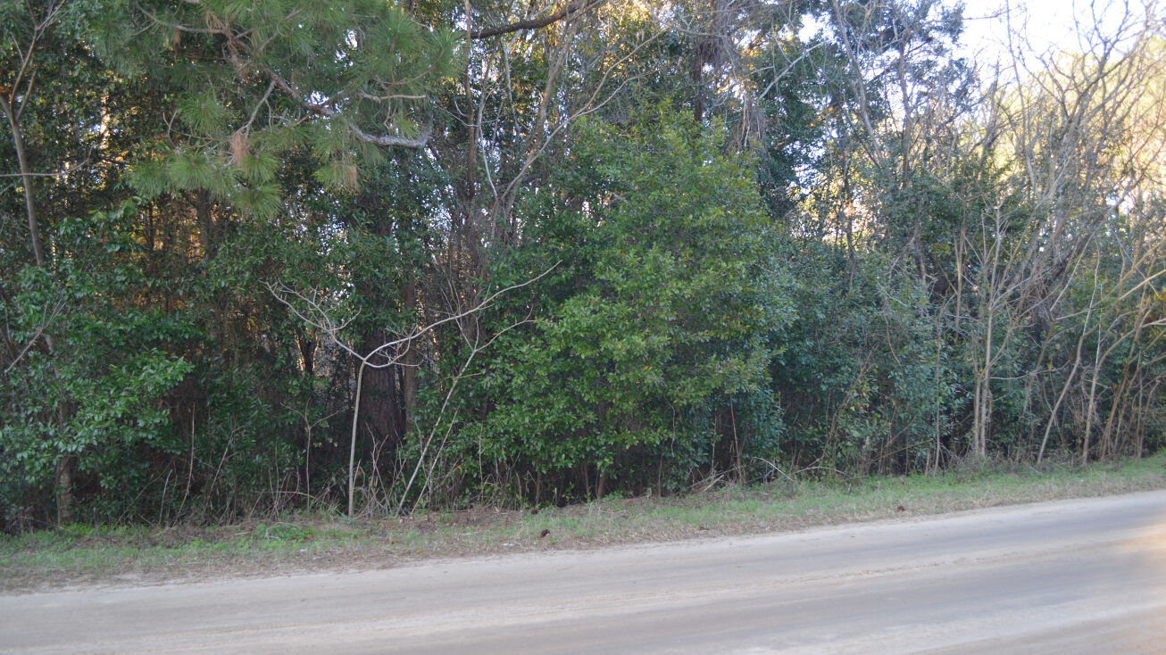 Shalimar Dr, Lee, FL 32059