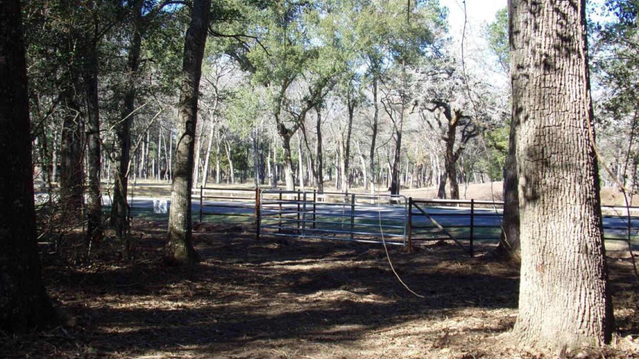 31093 Joseph Rd, Hockley, TX 77447 Land for Sale 31093 Joseph Rd